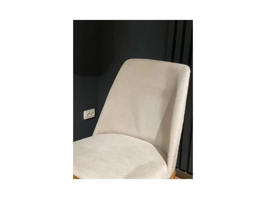 Homage стул  (серый, бежевый) Icon