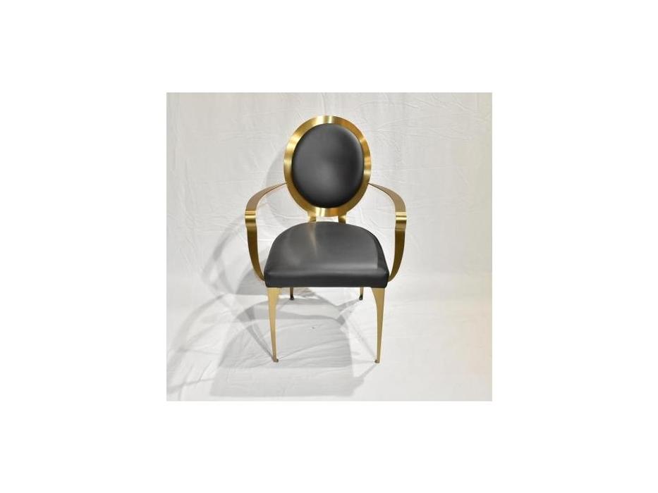 STG стул с подлокотниками  (черный) Dior