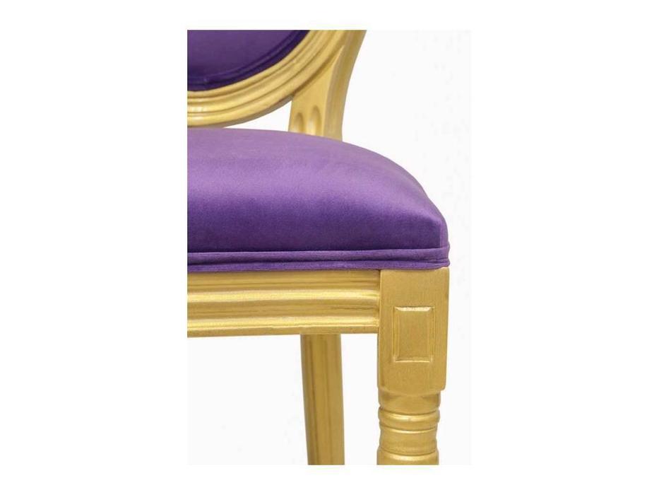 Interior стул  (фиолетовый, золото) 5KS24501-VG